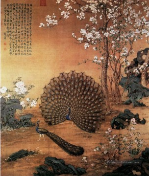 Lang Shining Proudasa paon ancienne Chine encre Giuseppe Castiglione Peinture à l'huile